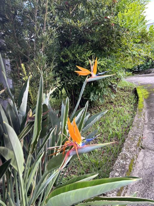 Holiday home Recanto Do Coracao Itauna (Minas Gerais)